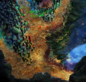 ���{���ק�